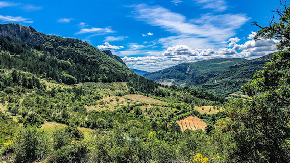 camping les ôliviers