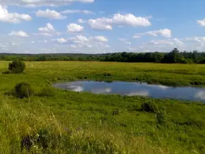 Gnezdovskoye Gorodishche
