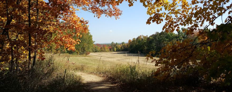 Gibson Hills