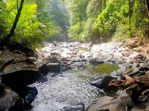 Goa Waterfall Chatra
