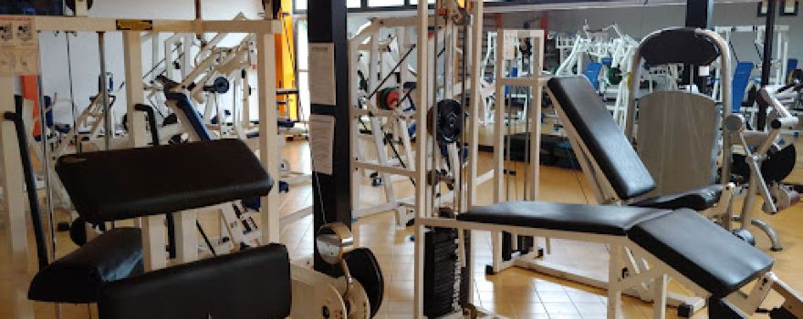 S.S.D Wellness Olimpia