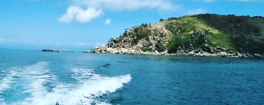 Great Palm Island