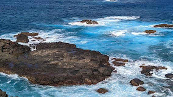 Hundred Acres Reserve