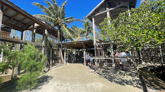 Daniel Johnson's Monkey and Sloth Hang Out