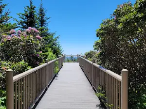 Rhododendron Gardens
