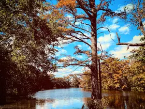 Remmel Park