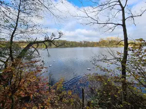 Waldspielplatz Grabau