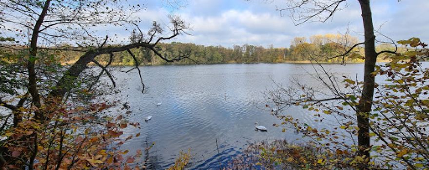 Waldspielplatz Grabau