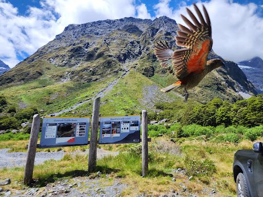 Gertrude Valley Lookout