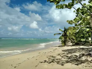 Campismo Los Cocos