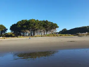 Playa Mar Brava, Carelmapu.