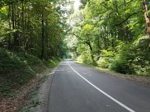 Spomenik palim borcima Kosmajskog odreda - Iskra slobode