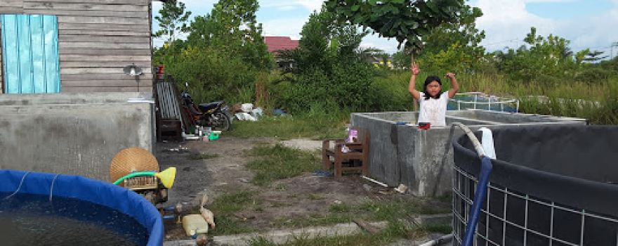 Pasar Panenga Malam Rabu Dan Malam Minggu