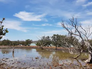 Fitzgerald Bay North Free Camping