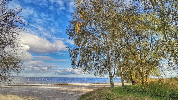 Nationalpark Bei Klausdorf