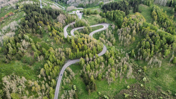Quận Altai