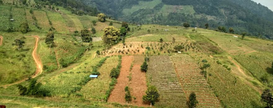 Sport Tourism Circuit Mount Buleud