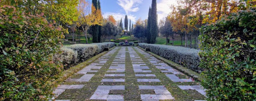 Bosco della Ragnaia