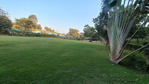 ZIWA SHORES GARDEN