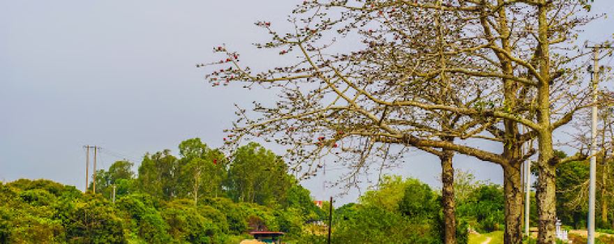 Cầu Âu, Yên Lâm