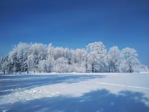 Park