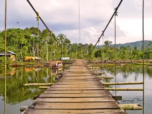Danau Suro