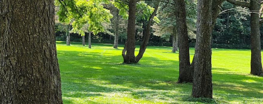 Hoover Park