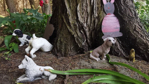 Waitarere Fairy Garden Entrance