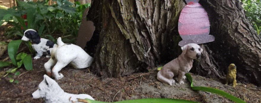 Waitarere Fairy Garden Entrance