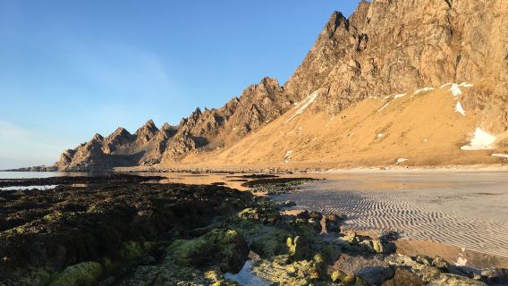 Midnattsol Camping Bleik