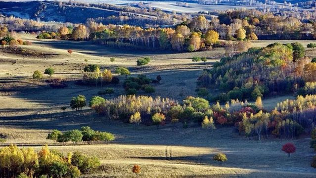 Saihanba National Forest Park - Rafting