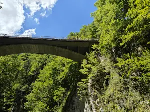 Cheile Oltețului