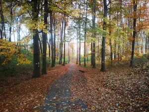Hétforrás