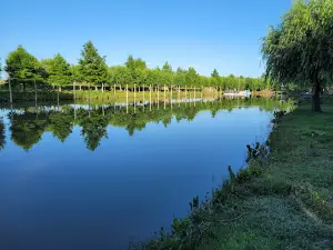 Oasis Guazu