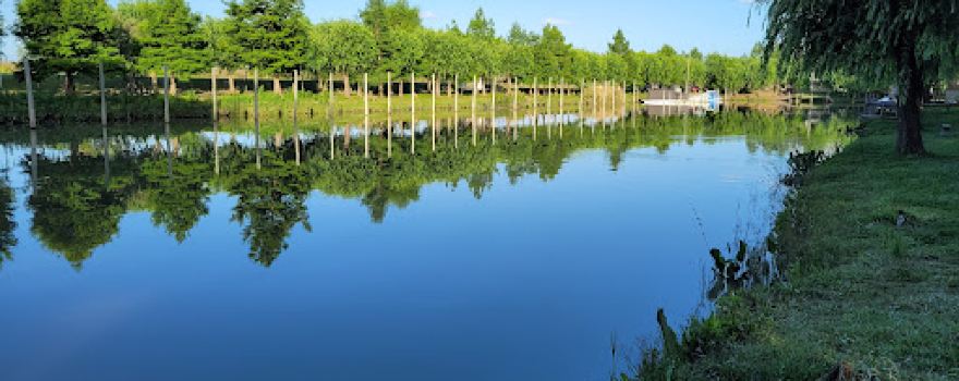 Oasis Guazu