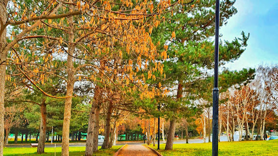 Nenehatun Cultural Center