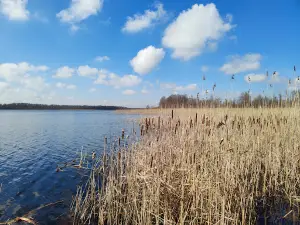 Nature trail "Spławy"