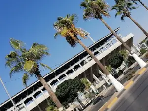 Al-Hasan Stadium