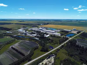 Pembina Hutterite Colony