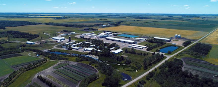 Pembina Hutterite Colony