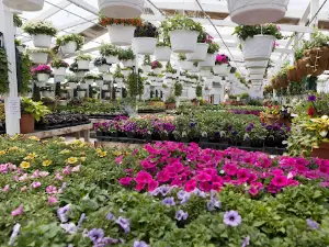 Elyria Gardens Valley County