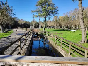 AREA RECREATIVA DE FURELOS