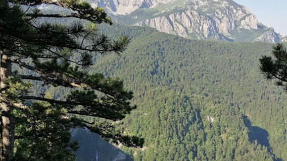 Trailhead: Skakavac waterfall (prašuma Perućica)
