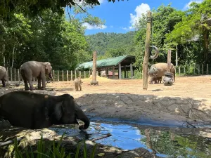 Lok Kawi Wildlife Park