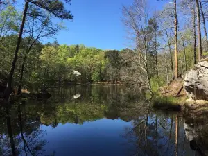 Panola Mountain State Park