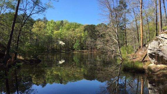 Panola Mountain State Park