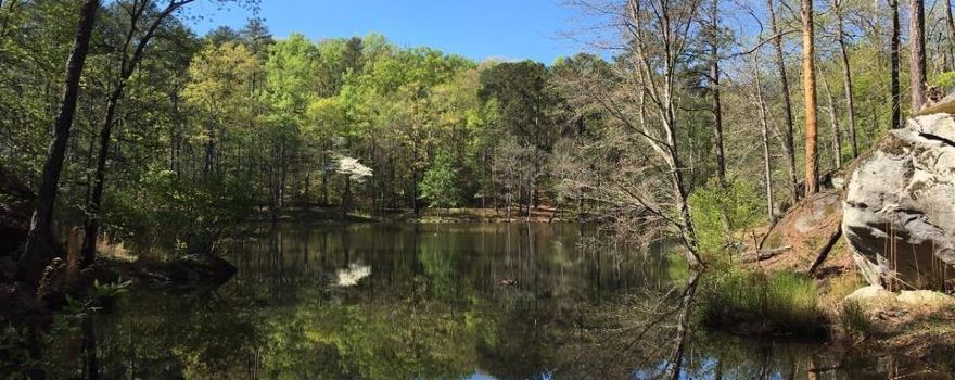 Panola Mountain State Park