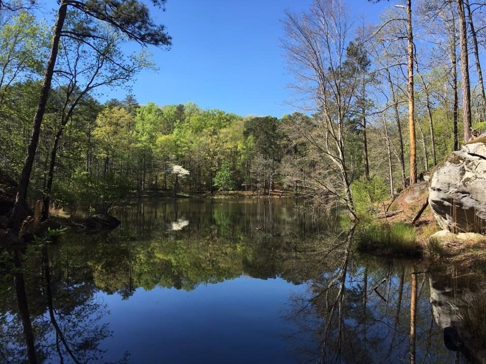 Panola Mountain State Park