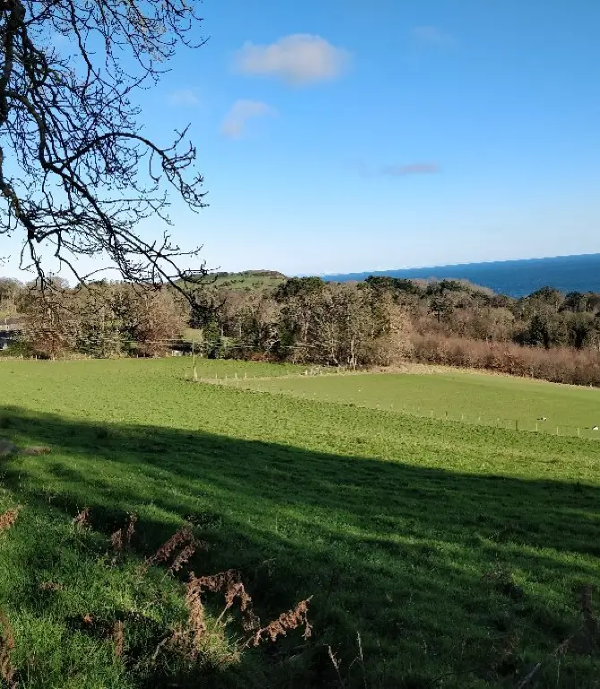 Larne