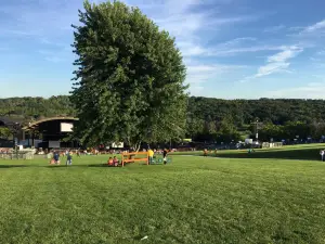 Alpine Valley Music Theatre
